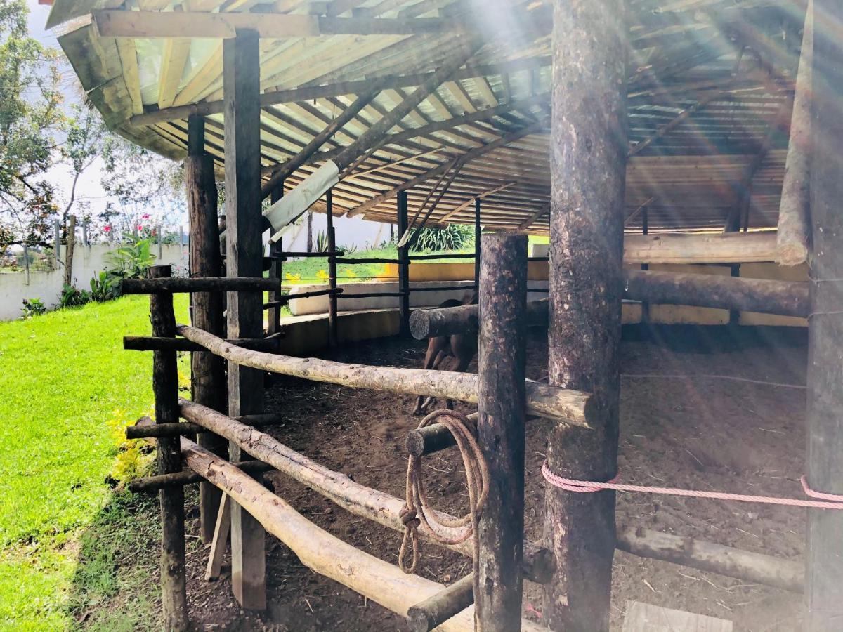 Cabanas El Pajar Zacatlán Exteriör bild